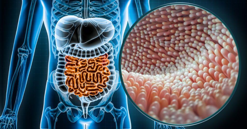 微生物分析師(Microbiologist) ，主要負責運用科學鑑定方法進行微生物相關的實驗研究，例如臨床試驗、樣品分析、新藥監測以及微生物培養物，能在實驗室中進行各種測試分析，確保樣品的安全性，最終記錄結果並完成報告。