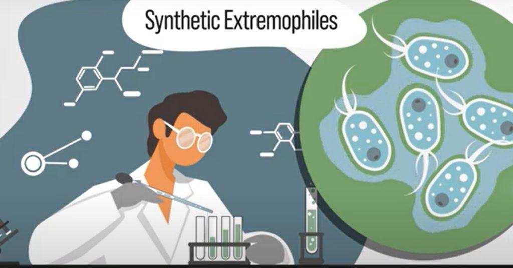 如果透過調整，能讓微生物在不同功能中發揮最大效力，就能成為醫學界一項重大進展。