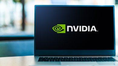 輝達 (Nvidia)成為 2024 年全球市值漲幅最大的公司。